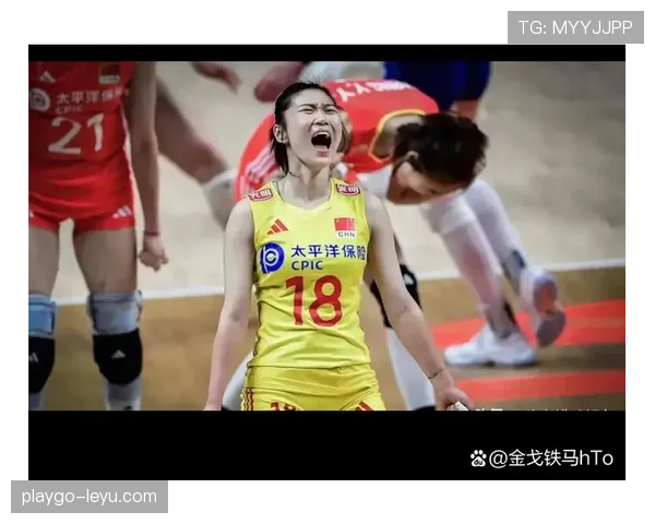 霍伊别尔防守端表现抢眼，筑起坚固屏障助球队稳固防线