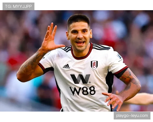 米特罗维奇神勇发挥助塞尔维亚逆转取胜,状态强势回暖 米特罗维奇神勇发挥助塞尔维亚逆转取胜,状态强势回暖