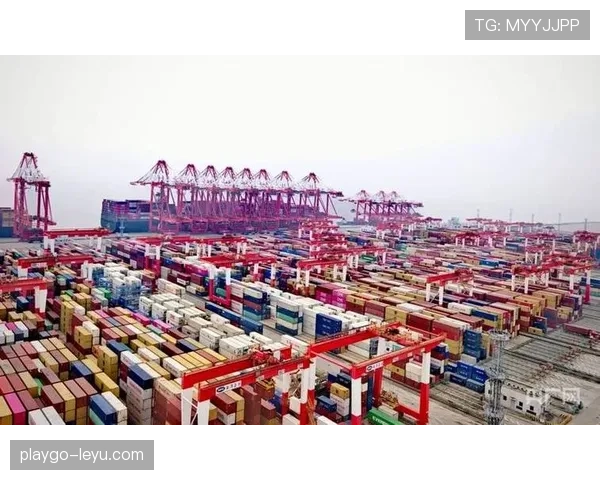 上海海港本土核心 上海海港本土核心